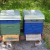 Neuer Bienenstand Teil 2